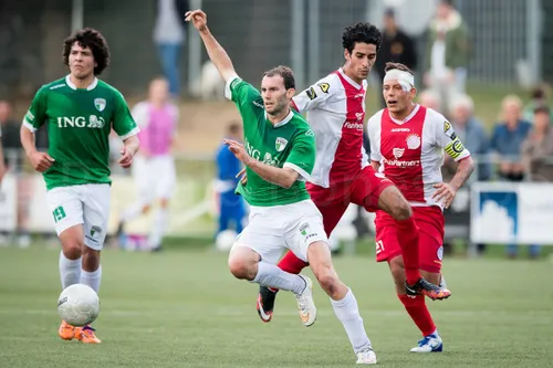 vvog ijsselmeervogels 5 ronald bonestroo