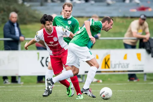 vvog ijsselmeervogels ronald bonestroo