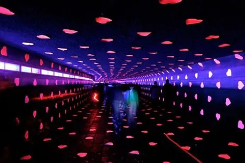 wauw festival1