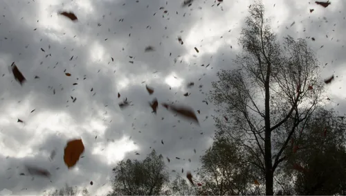 ontwerp zonder titel 2024 09 26t104628248