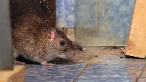 ontwerp zonder titel 1