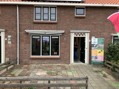 Straat vergroenen Zeebuurt