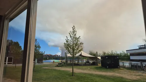 rookontwikkeling