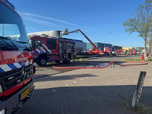 WhatsApp Image 2026-04-25 at 19.09.13 (1)