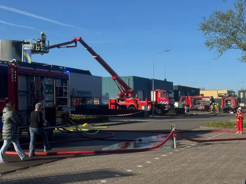 WhatsApp Image 2026-04-25 at 19.09.13