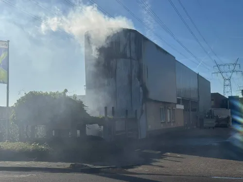 WhatsApp Image 2026-04-25 at 19.09.16