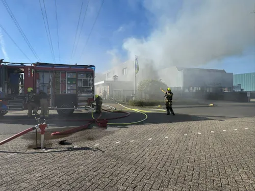 WhatsApp Image 2026-04-25 at 19.09.24