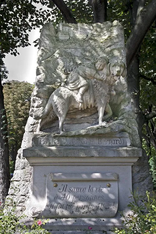 10624683 890163040995649 4519167175331543997 n