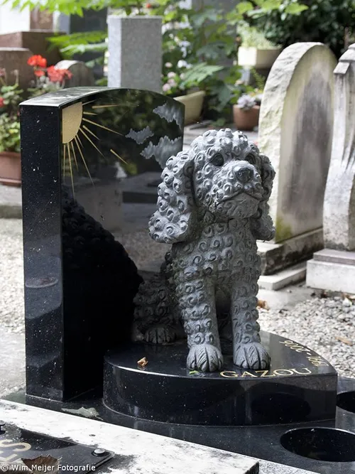 10672042 890163470995606 5586437149104440136 n