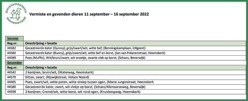 11 september e28093 16 september 2022 scaled