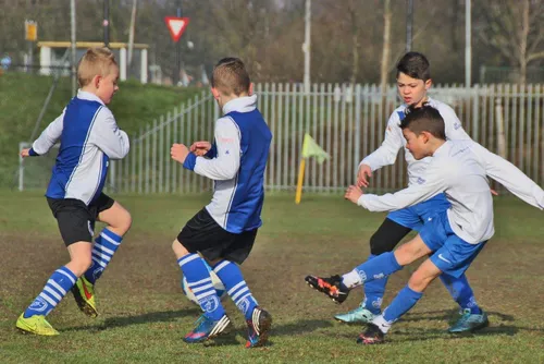 12473784 738133679656502 2646529868916032124 o