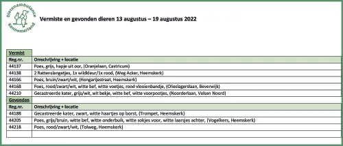 13 augustus e28093 19 augustus 2022