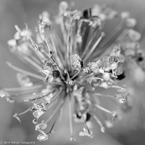 1385432 10203445530524983 6457225373305267410 n new