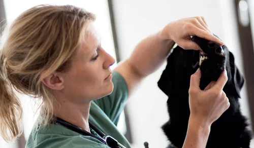 1811 51421c7bbb471d4867a0b51f52f4cbf9