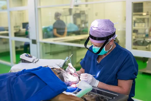 1811 ae5950f18b5d43865b38e50e748ef8b1