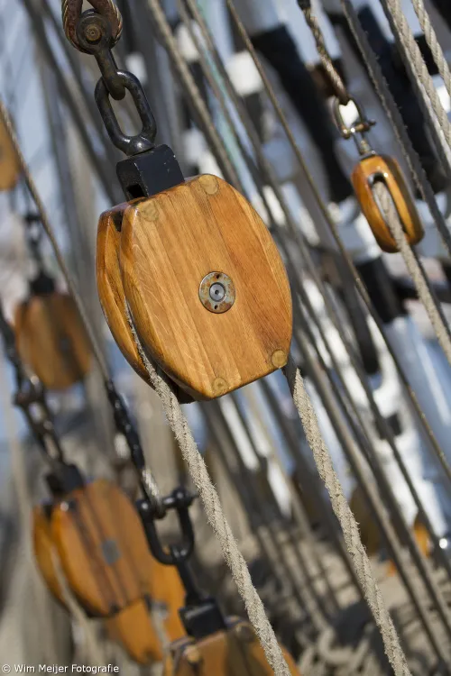 20849740095 e9de62e8e9 o