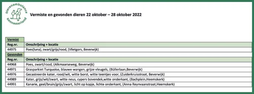 22 oktober e28093 28 oktober 2022 scaled