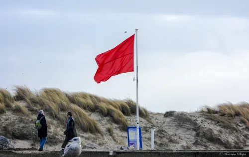 273008457 4710375262395036 4973102367669226110 n