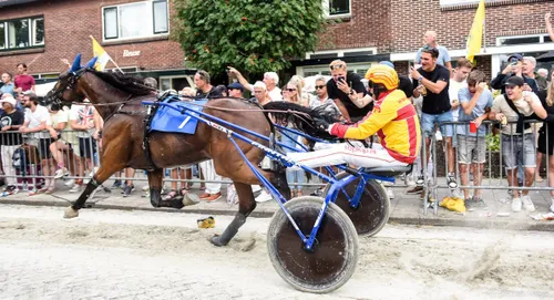 296004991 5226498304116060 4605101726220759618 n