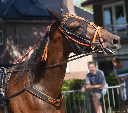 297172705 5226493780783179 2701296515878332851 n