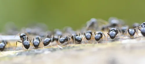 35192848 10217083924797410 3734924575876579328 n pjw