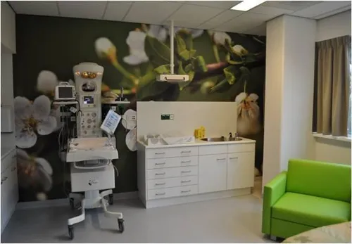 395686 213618668730674 223967967 n