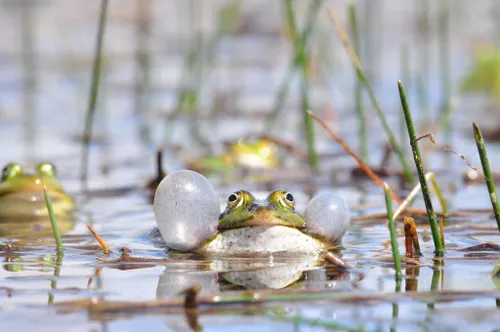 53151003 276350169923566 570527980833472512 n