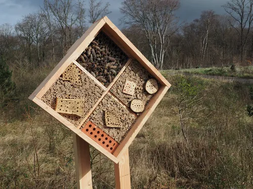 53480561 1053829124826957 6153489744803135488 o