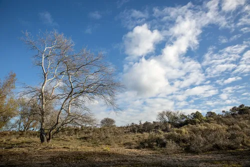 5i5a0167 duinen winter wim meijer fotografie