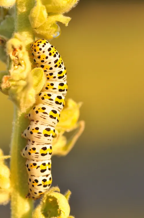 65962902 459979047896219 1487865594337296384 n