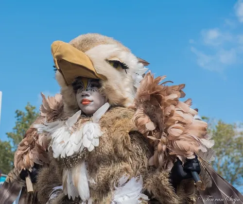 68393883 2291246370974616 3906997557213003776 n