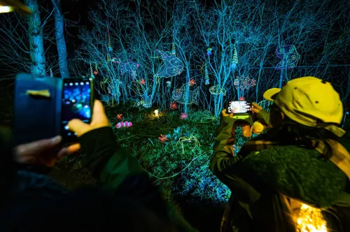 87360767 2655396268023334 8107923486250369024 o