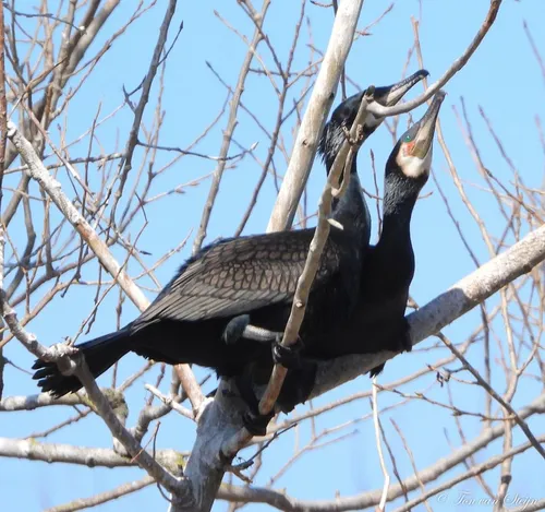 92874884 2792487654183816 4006101900343640064 o