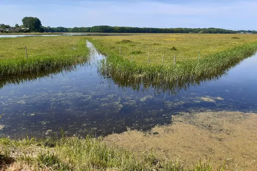 castricum polder door anky woudstra