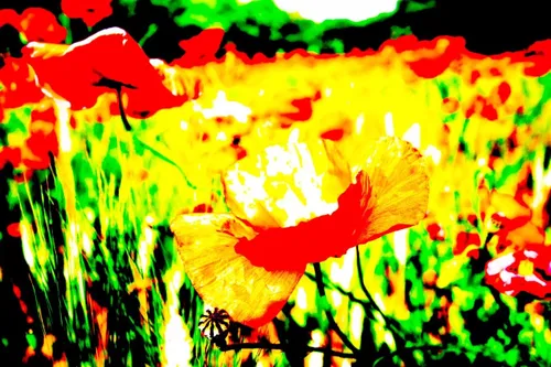 cdnnieuwsnlmediasites14320160930105110cdnnieuwsnlmediasites4320160930104335jan aardenburg 1 e107639b3fa0b2e2161e86eff359623e43c9fc66 2a14f7bf6e77a56650c3b5fb8f95263eb955dc59