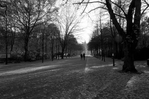 cdnnieuwsnlmediasites14320161204105541cdnnieuwsnlmediasites4320161204104200bbtorzww2016jpg 00f2bb26eed89ce6f0a8ffd57ce60c64fbf7f8c5 9d44e5ccbad002e6b71c8efdfd0d6f8b10167bdd