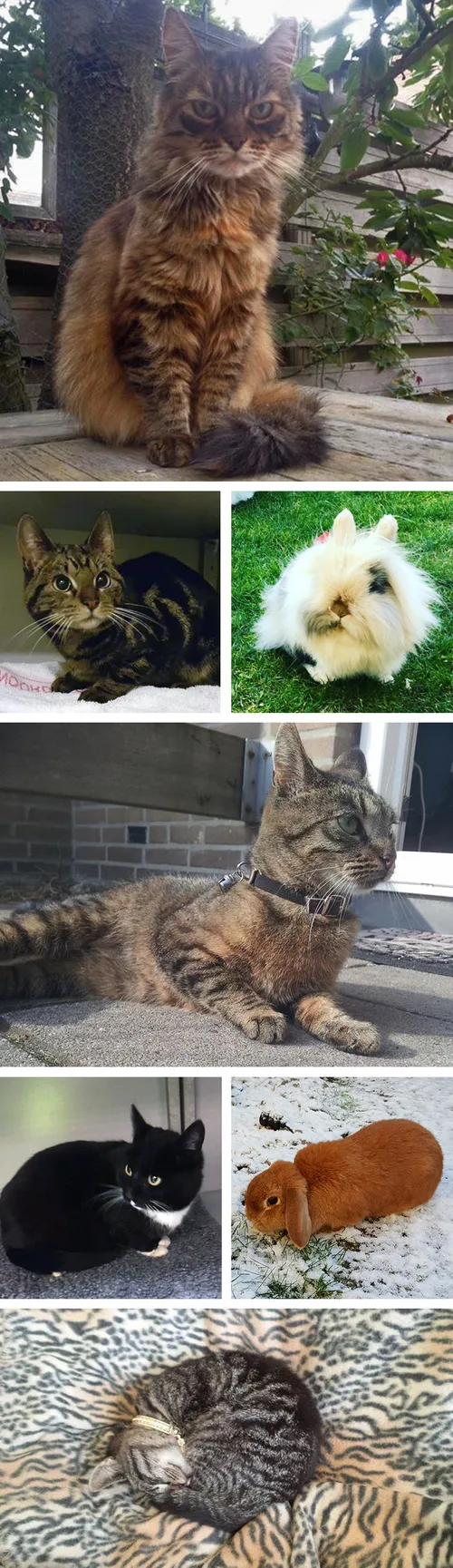 cdnnieuwsnlmediasites14320170429212024cdnnieuwsnlmediasites4320170429211314collage 29 04 a8976dd7223cafd9347ec3bed9d9d966c416aa93 443dfa80f6971bb1dd29ca9ddeb63507b847b183