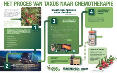 cdnnieuwsnlmediasites14320170609192544cdnnieuwsnlmediasites4320170609191845infotaxus 545d35c57619ca2cd19d0185141ed2a886dccabd 548ea3c1c9820fda7c7f9cbcff95e28519e882ff