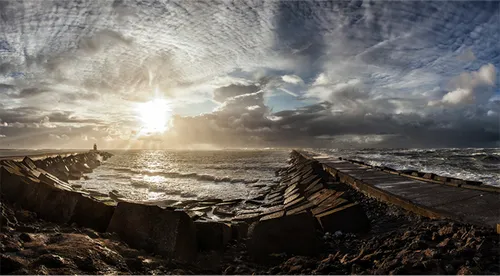 cdnnieuwsnlmediasites4320170207134608renekuipers 193adea834e2c1386e585a233b1c9d2dd5574335