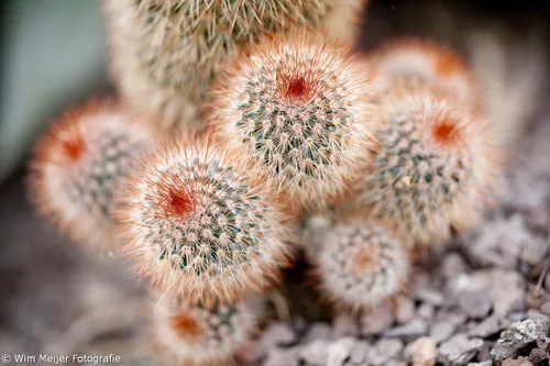 cdnnieuwsnlmediasites4320170820091446tumblr npwdd1xptb1svvyvco2 1280 9d9aac1fa660a8b109e329fe21df33164bcc3a1a