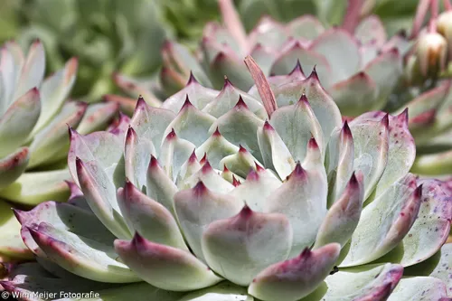 cdnnieuwsnlmediasites4320170820091504tumblr npwdd1xptb1svvyvco4 12802 bf580578ba386d5fcc18012de89e92079db4bb1a