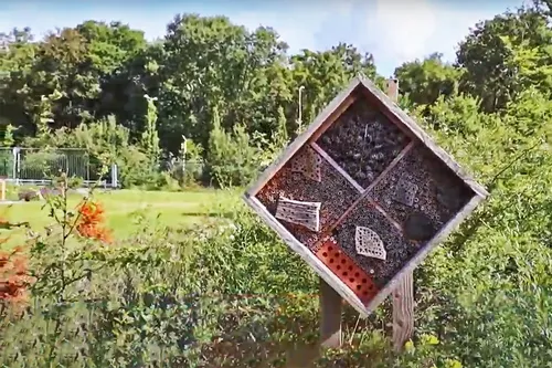 eikenhof 2 ijmond nieuws