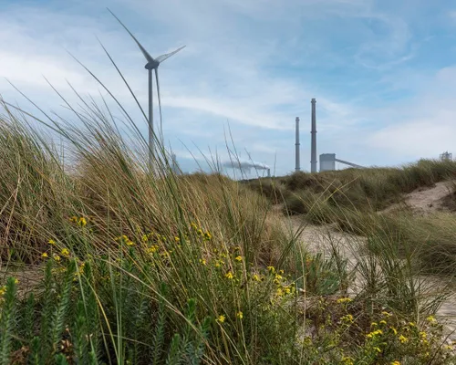 foto 1 expositie fotokring heemskerk natuur in de ijmond fotograaf joop rumping