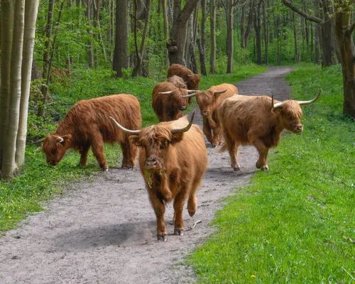 foto 2 expositie fotokring heemskerk natuur in de ijmond fotograaf francis gazenbeek