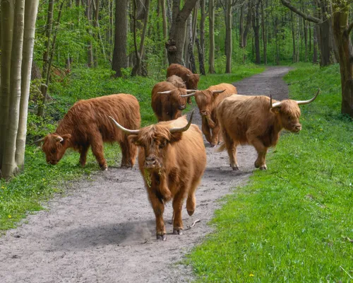 foto 2 expositie fotokring heemskerk natuur in de ijmond fotograaf francis gazenbeek