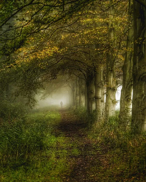 foto 3 expositie fotokring heemskerk natuur in de ijmond fotograaf anja schram
