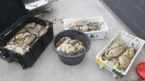 foto dierenambulance kennemerland 1