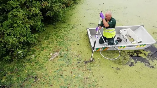 foto dierenambulance kennemerland 2