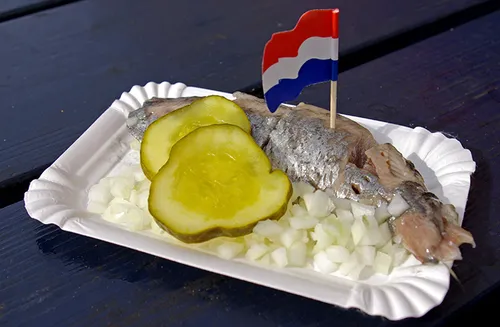 hollandse nieuwe 001 wiki