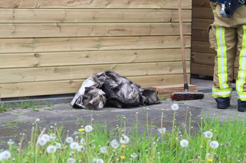 img 20240430 wa0052 copy 1536x1023